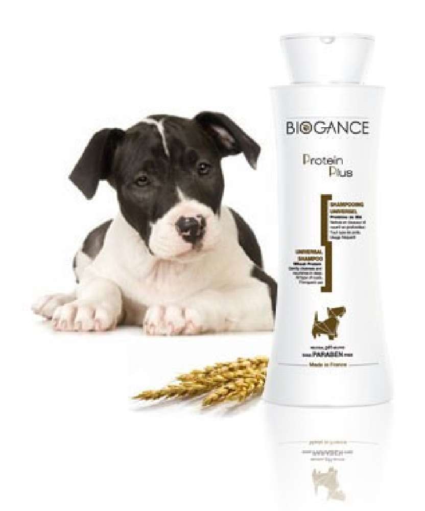 Shampoing universel Protein Plus BIOGANCE