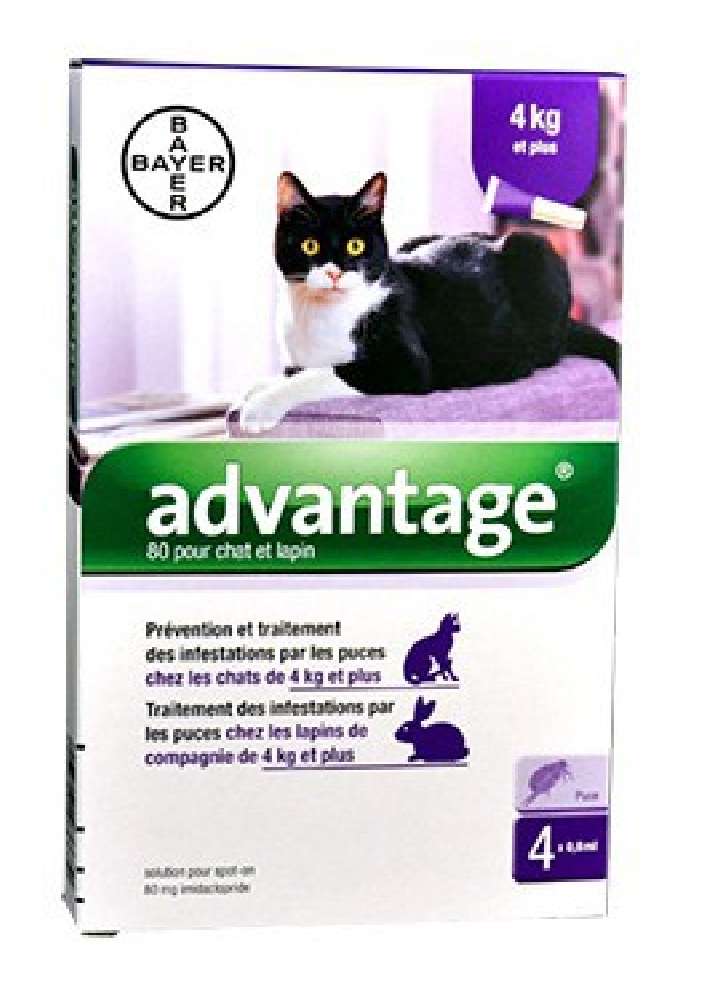 Pipettes anti-puces pour chats de plus de 4 kilos ADVANTAGE