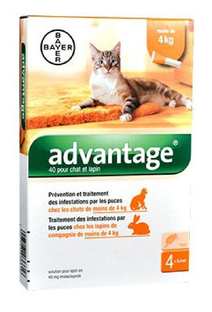 Pipettes anti-puces pour chats de moins de 4 kg ADVANTAGE 